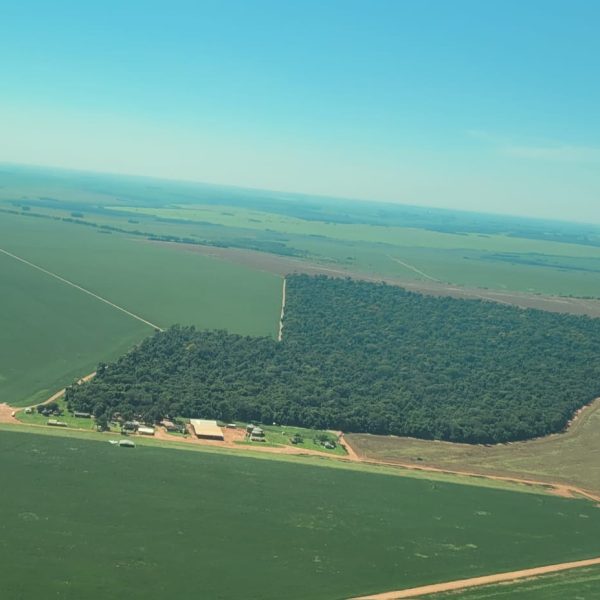 WhatsApp Image 2026-02-12 at 07.02.30 (1)