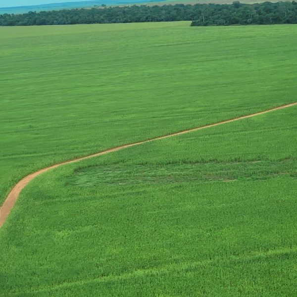 WhatsApp Image 2026-02-12 at 07.02.30 (2)