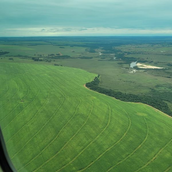 WhatsApp Image 2026-02-12 at 07.02.31