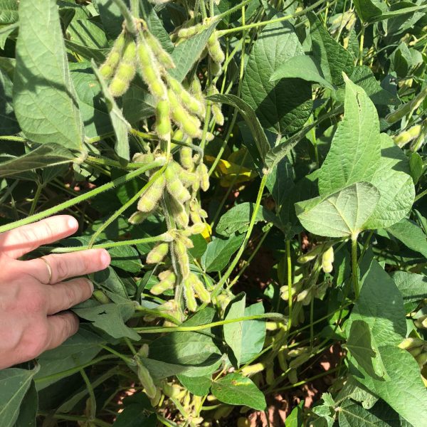 WhatsApp Image 2026-02-12 at 07.02.32 (1)