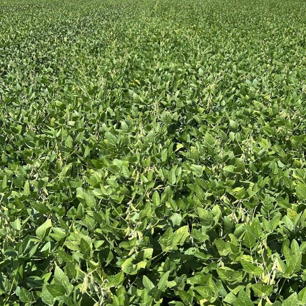 WhatsApp Image 2026-03-30 at 10.09.48