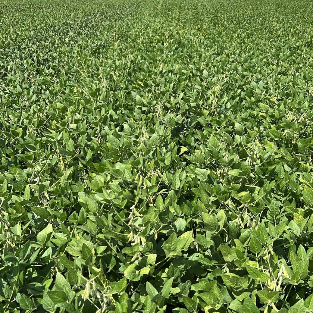 WhatsApp Image 2026-03-30 at 10.09.48