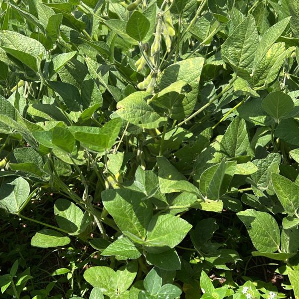 WhatsApp Image 2026-03-30 at 10.09.49